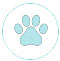 animali